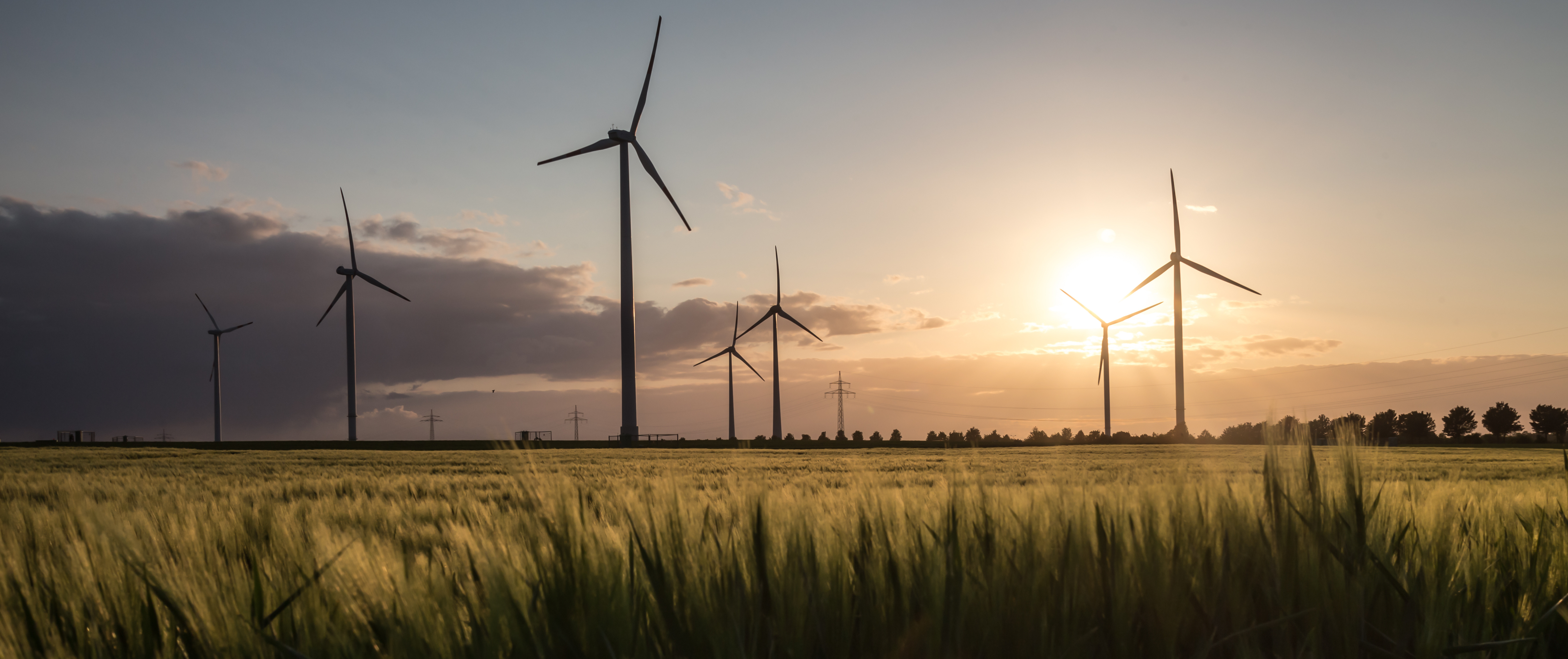 Wind Farm.jpeg