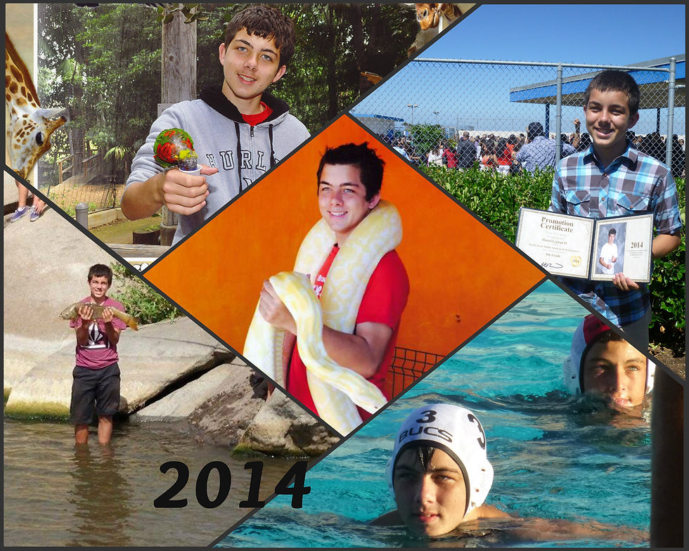 Daniel 2014