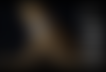 Kosmii - Strider Bird Leg Band