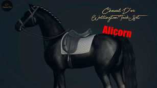 Cheval D'or - Wellington Dressage Set