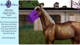 The Flying Pony - Feed Bag
