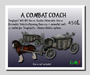 Dione Bingyi - Combat Coach