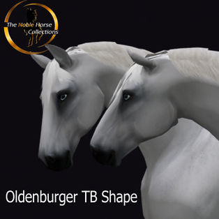 Noble Horse Collections - Oldenburger TB Shape