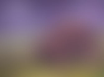 *Cinnamon* - Ale Wagon