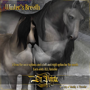 En Pointe - Winter's Breath