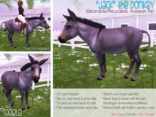 "Jack" The Donkey