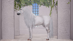 Cheval D'or - Wavy Mane & Tail