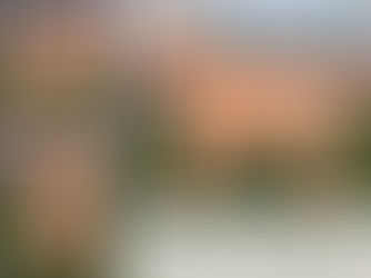 "Charlie" The Labrador