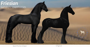 SundayS - Friesian Shape