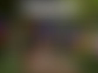 Bona Salto - Jump Set "Games"