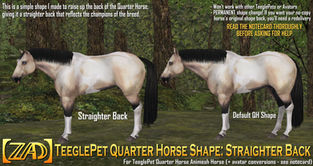 [ZAD] - Teeglepet Quarter Horse Shape: Straighter Back