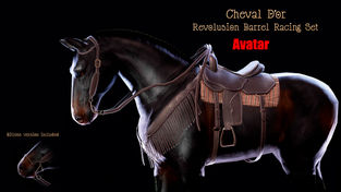 Cheval D'or - Revolution Barrel Racing