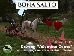 Bona Salto - Driving "Valentine Cones"