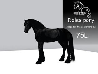 Horse'n Stuff - Dales Pony Shape (For Connemara Avatar)