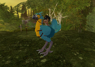 Cat's Flea Market - Strider Bird Skins