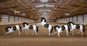 SundayS - Liberty Pose Pack
