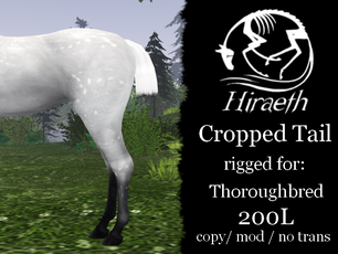 Hiraeth - Cropped Tail