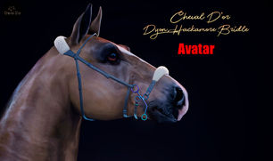 Cheval D'or - Dyon Hackamore Bridle