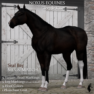 Noxus Equines - Teegle Horse Skins