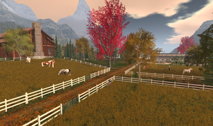 Home Sweet Home for Horse Lovers