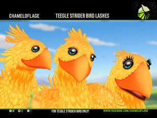 *CMFL* - Strider Bird Lashes