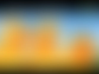 *CMFL* - Strider Bird Lashes