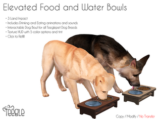 Teegle - Elevated Food & Water Bowls