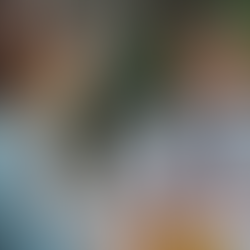 Personalised Nutrition Plans Tailored to Your Needs: Customised Nutrition Plans UK