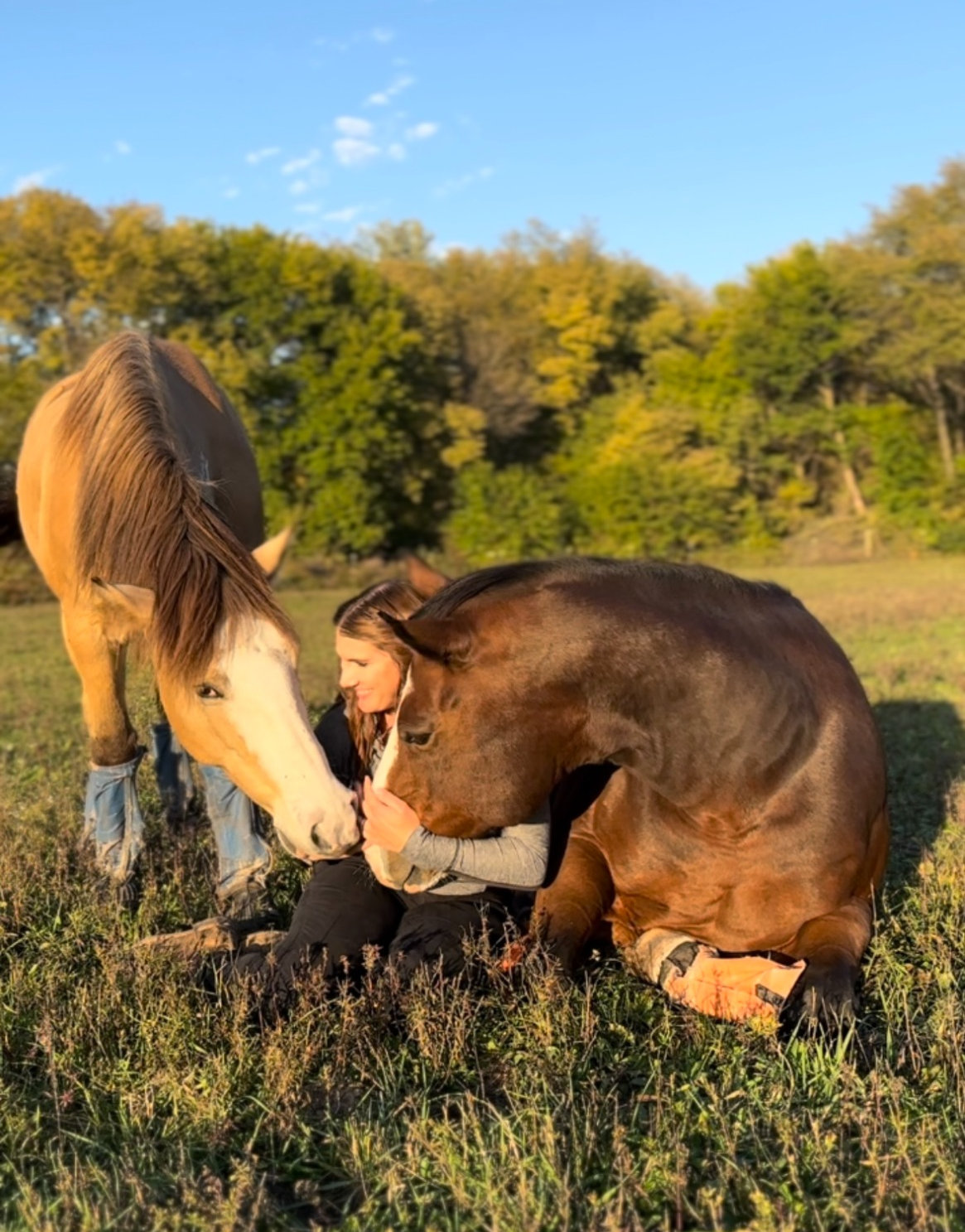 The relationships at the heart of Unbridled Wild Connections