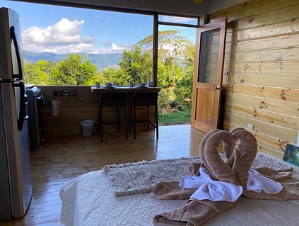 Screen Shot 2024-08-27 at 9.55.37 AM.png