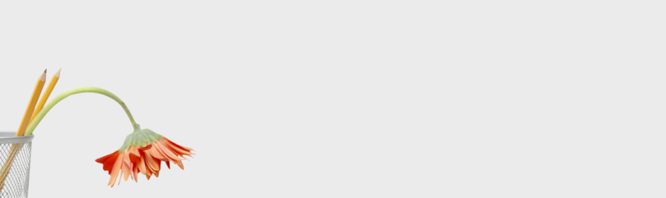 A wilted orange flower drooping out of a pencil holder beside upright pencils, symbolising emotional exhaustion and the slow leak of burnout in high pressure roles.