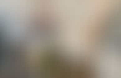 Dining Room & Entry Update