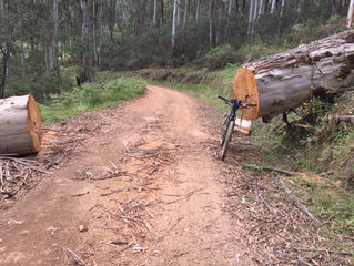 Cloudride Entries Open Jan 1.