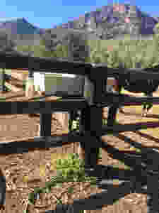 Horse yards and ... water!