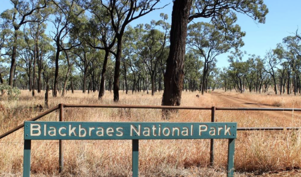 Typical country coming across to the Kennedy Development Rd