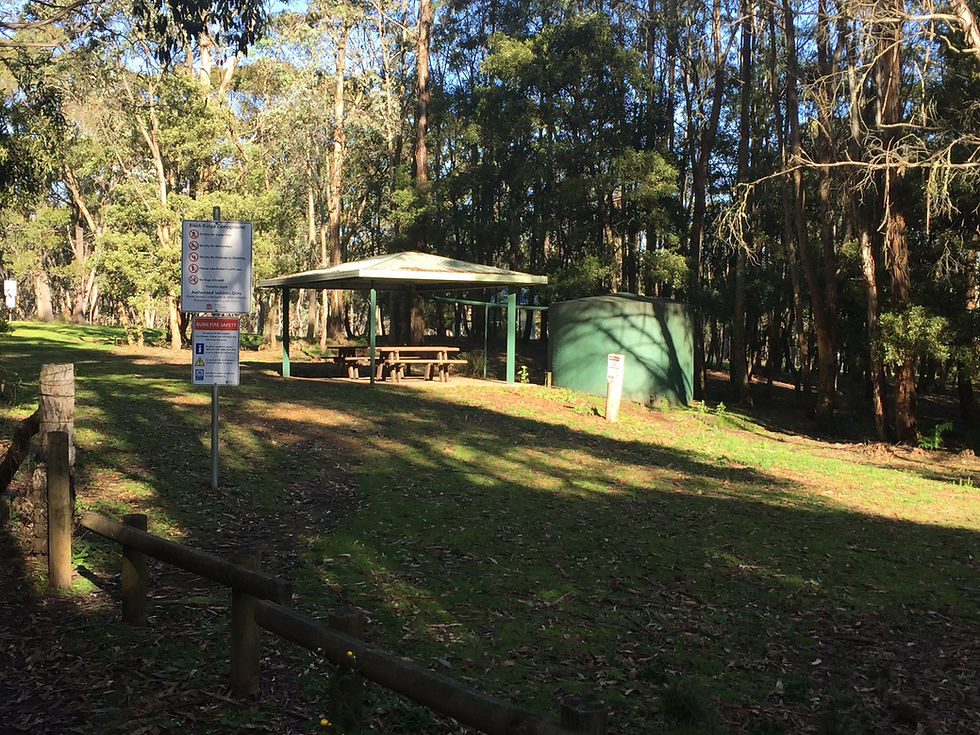 Black Range Camp Ground where TA joins in the 6ft Track