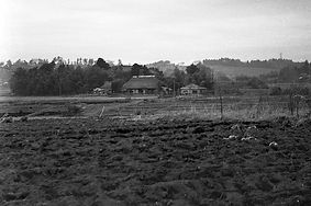 image (7).jpg