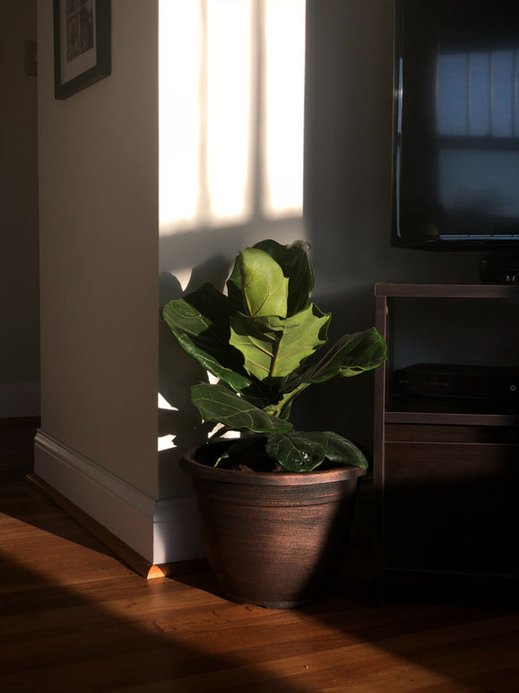 fill up our cup: vol. ii, entry seven