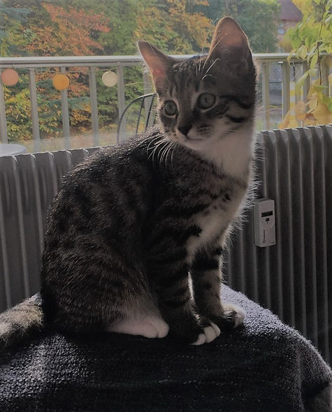 Oby 8.11.18 4.JPG