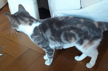 Nelly 16.12.19.jpg