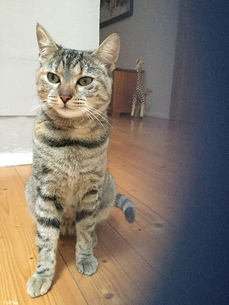 Fifi 3.1.19 2.JPG