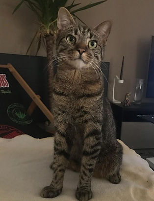 Oby 8.8.19 2.jpeg