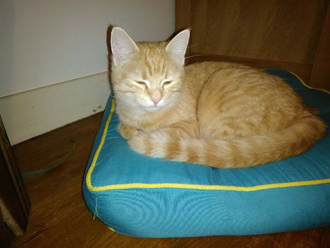 lilou.jpg