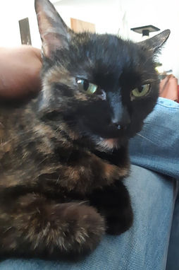 Fiona 17.8.19 1.jpg