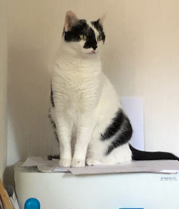 Myrtille 8.8.19 2.jpg