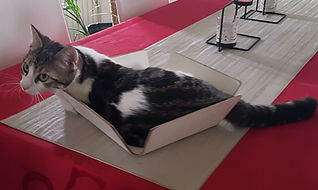 Post it 19.8.19 1.jpg
