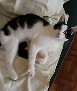 Boby 1.9.19.jpg