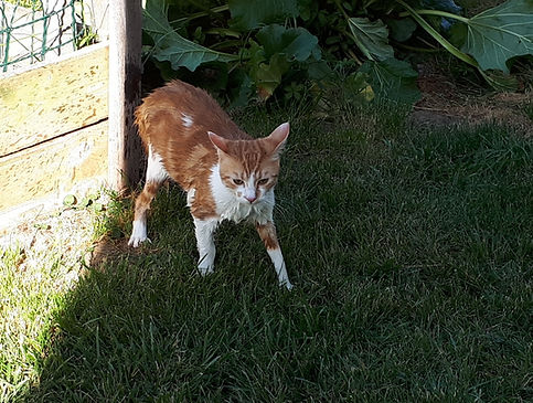 20190608_100435(1).jpg