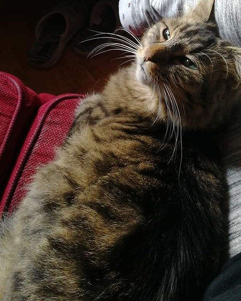 Princesse 6.11.18 3.jpg