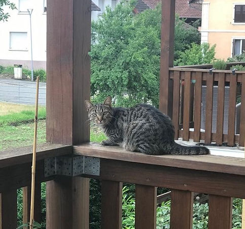 Oby27.6.19.jpg